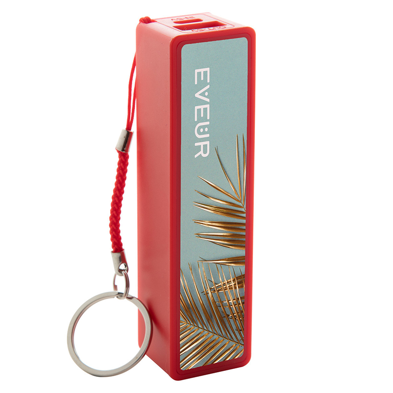 Power Bank PB101